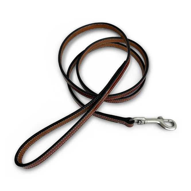 leather leash