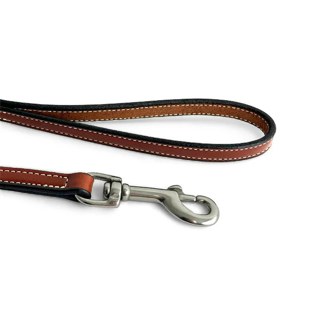 leather leash