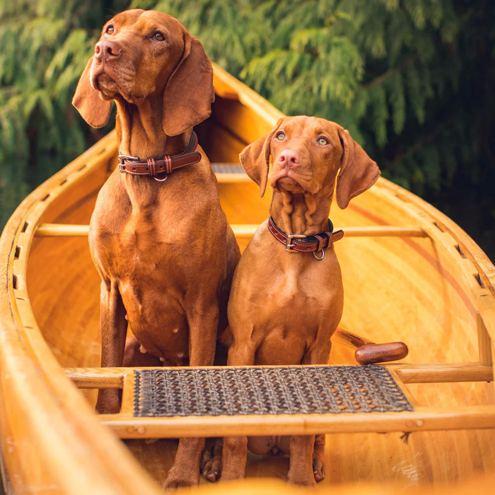 Bentley Deluxe Raised Collar