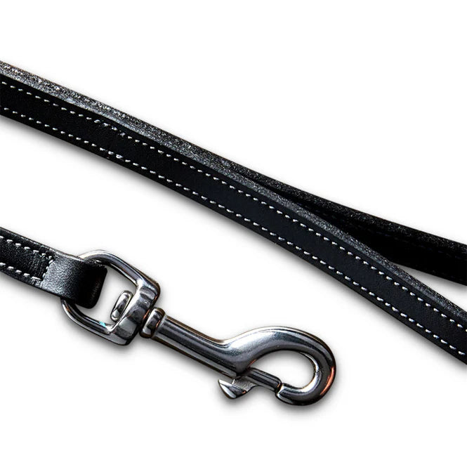 leather leash